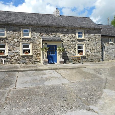 فيلا Ballynabolaفي Ballagh Court الغرفة الصورة